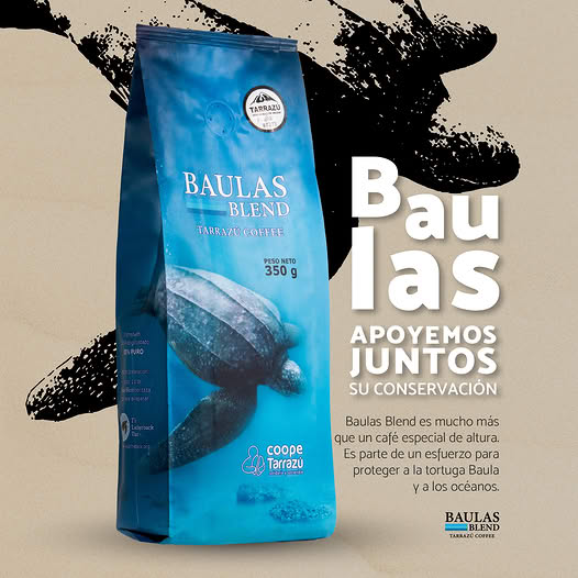 Café Baulas Blend Tarrazú - Imagen 4