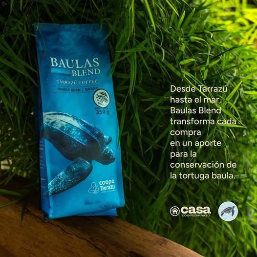 Café Baulas Blend Tarrazú - Imagen 3
